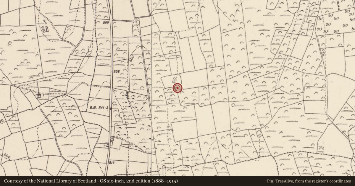 Ordnance Survey six-inch map, 2nd edition (1888–1915) covering the location of Ringfort - rath, Clonassy, County Kilkenny, with a pin at the register's coordinates