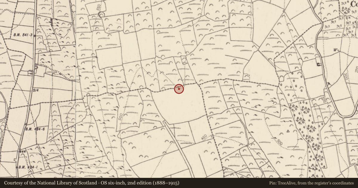 Ordnance Survey six-inch map, 2nd edition (1888–1915) covering the location of Ringfort - unclassified, Molum, County Kilkenny, with a pin at the register's coordinates