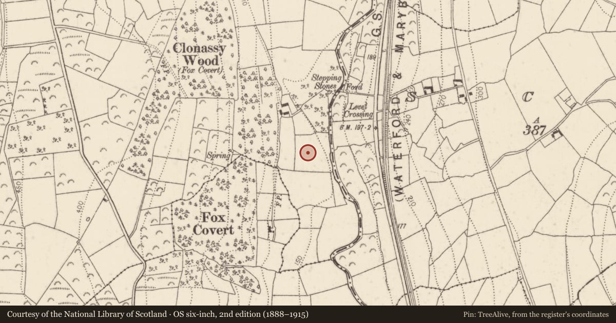Ordnance Survey six-inch map, 2nd edition (1888–1915) covering the location of Fulacht fia, Clonassy, County Kilkenny, with a pin at the register's coordinates