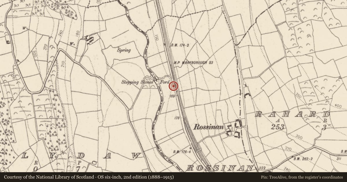 Ordnance Survey six-inch map, 2nd edition (1888–1915) covering the location of Church, Rossinan, County Kilkenny, with a pin at the register's coordinates