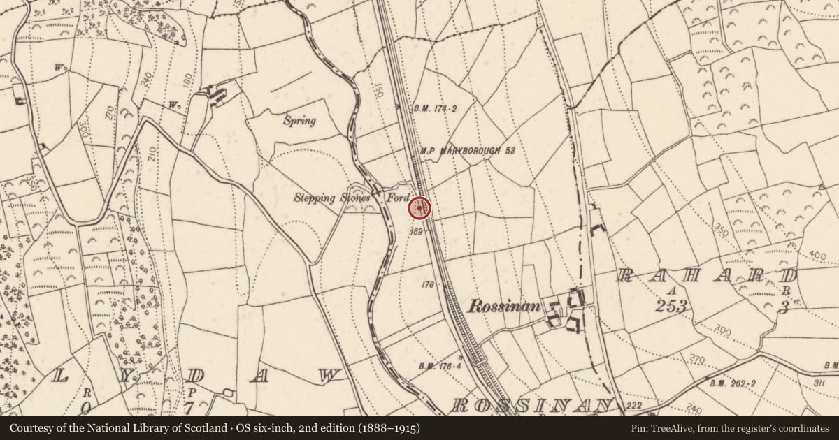 Ordnance Survey six-inch map, 2nd edition (1888–1915) covering the location of Graveyard, Rossinan, County Kilkenny, with a pin at the register's coordinates