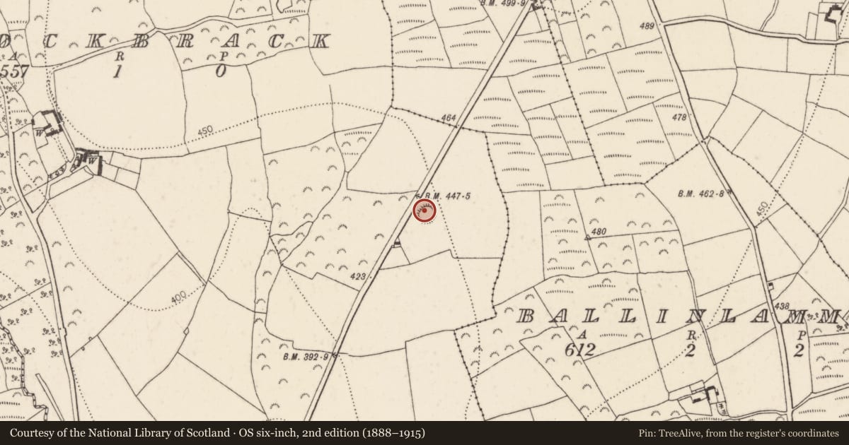Ordnance Survey six-inch map, 2nd edition (1888–1915) covering the location of Ringfort - rath, Knockbrack, County Kilkenny, with a pin at the register's coordinates
