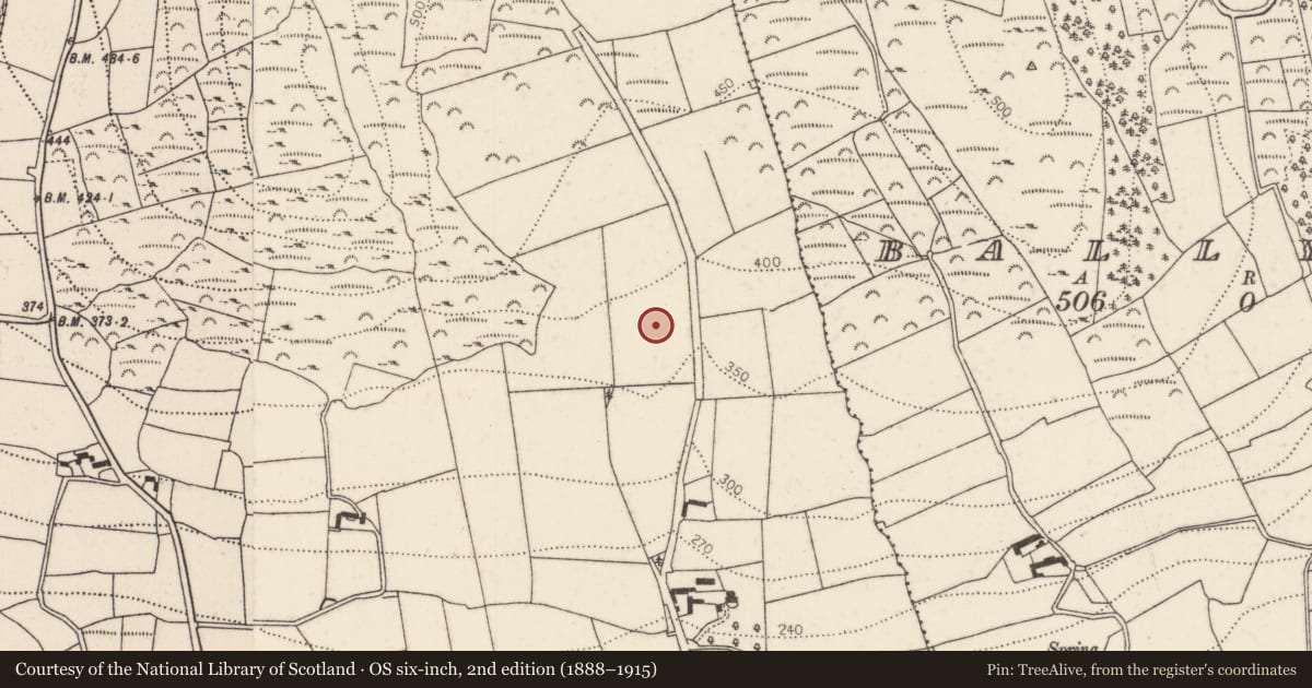 Ordnance Survey six-inch map, 2nd edition (1888–1915) covering the location of Ringfort - rath, Molum, County Kilkenny, with a pin at the register's coordinates
