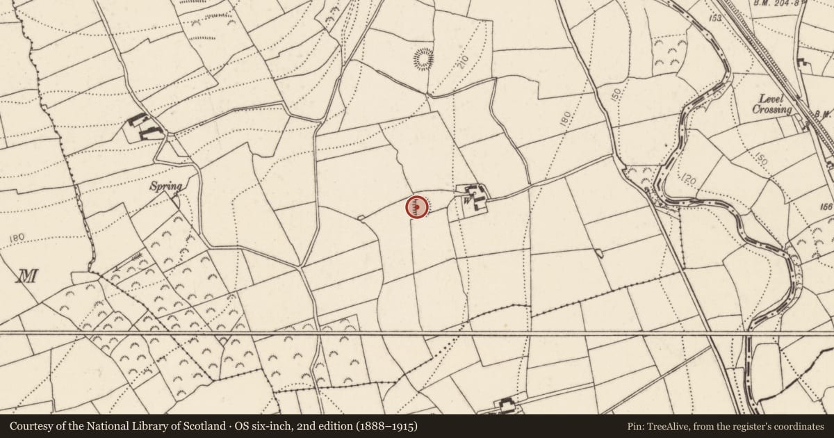 Ordnance Survey six-inch map, 2nd edition (1888–1915) covering the location of Ringfort - rath, Ballydaw, County Kilkenny, with a pin at the register's coordinates