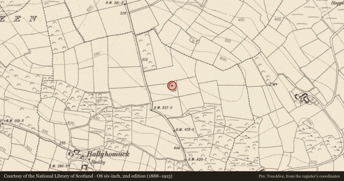 Ordnance Survey six-inch map, 2nd edition (1888–1915) covering the location of Ringfort - rath, Ballyhomuck, County Kilkenny, with a pin at the register's coordinates