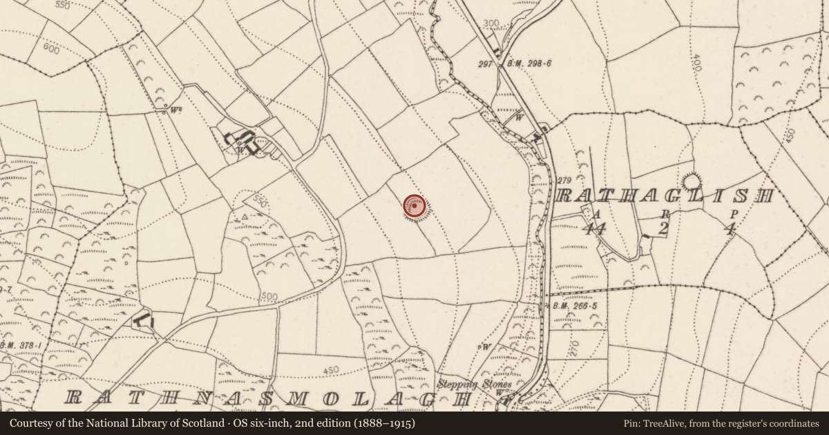 Ordnance Survey six-inch map, 2nd edition (1888–1915) covering the location of Ringfort - rath, Rathnasmolagh, County Kilkenny, with a pin at the register's coordinates