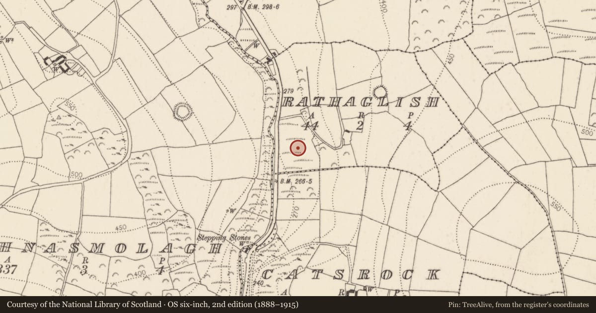 Ordnance Survey six-inch map, 2nd edition (1888–1915) covering the location of Fulacht fia, Rathaglish, County Kilkenny, with a pin at the register's coordinates