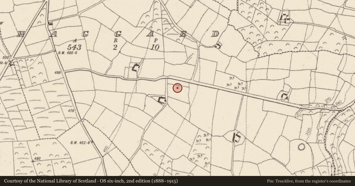 Ordnance Survey six-inch map, 2nd edition (1888–1915) covering the location of Mound, Haggard, County Kilkenny, with a pin at the register's coordinates