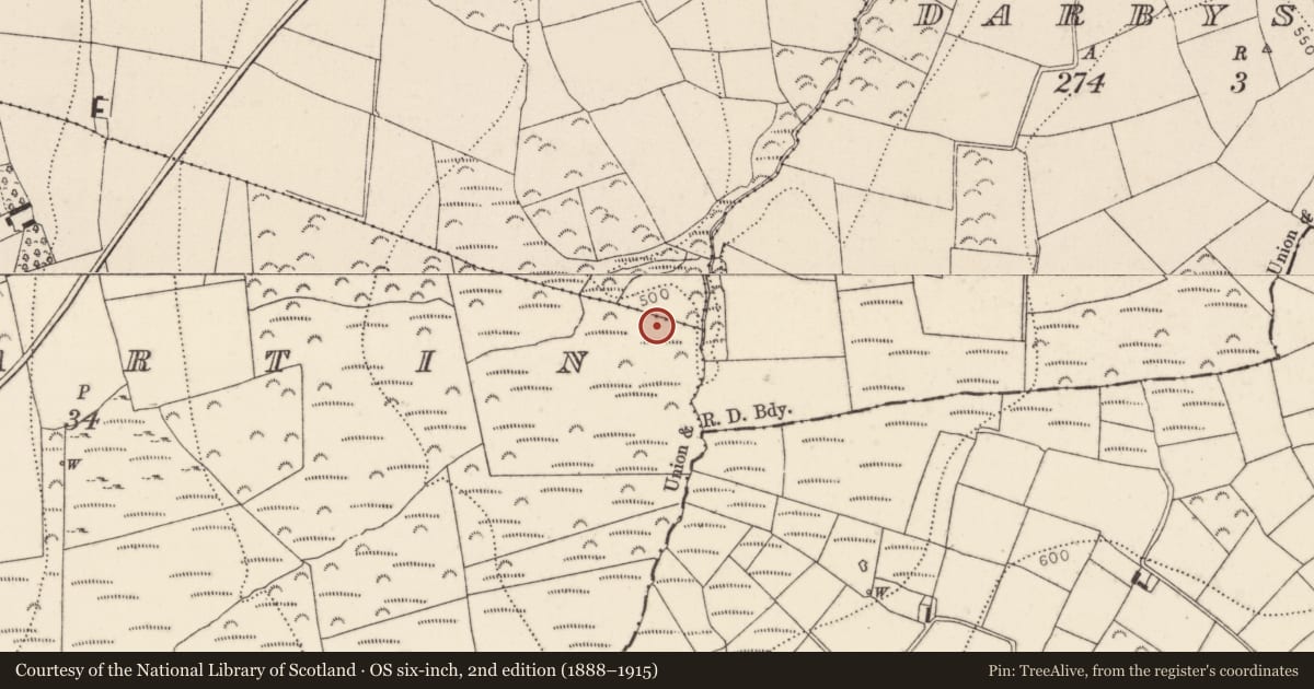 Ordnance Survey six-inch map, 2nd edition (1888–1915) covering the location of Megalithic tomb - unclassified, Ballymartin, County Kilkenny, with a pin at the register's coordinates