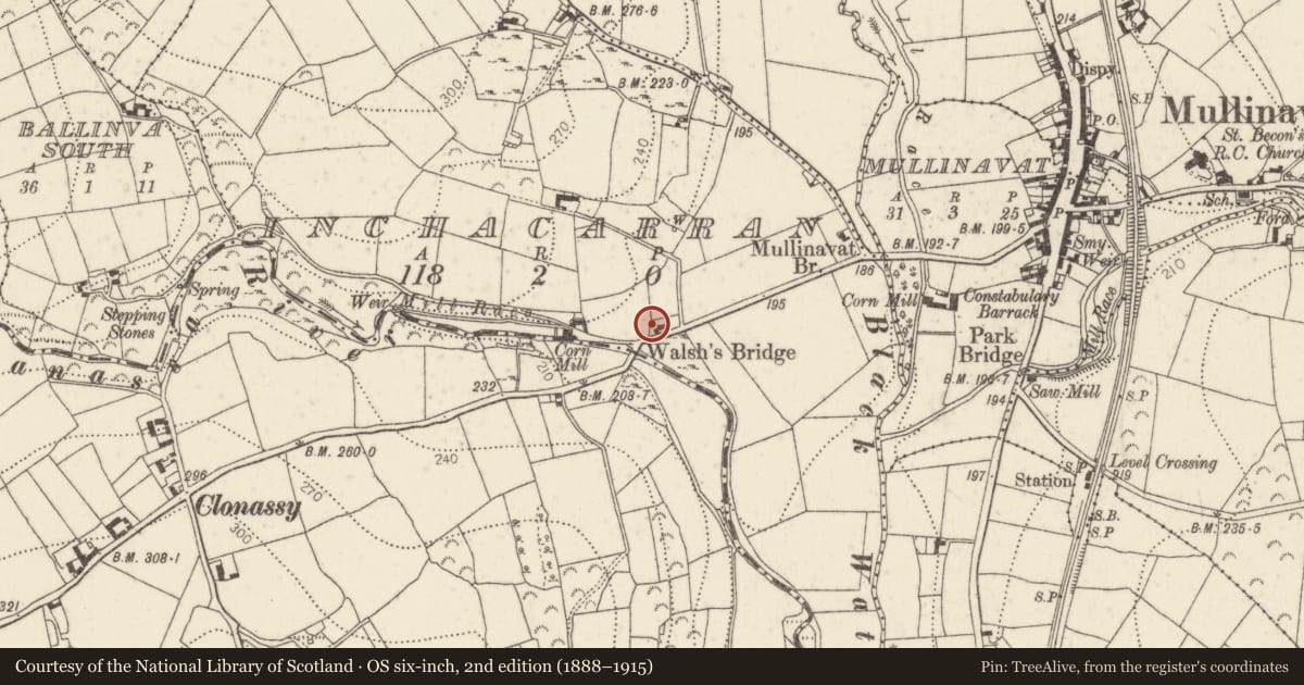 Ordnance Survey six-inch map, 2nd edition (1888–1915) covering the location of Castle - unclassified, Inchacarran, County Kilkenny, with a pin at the register's coordinates