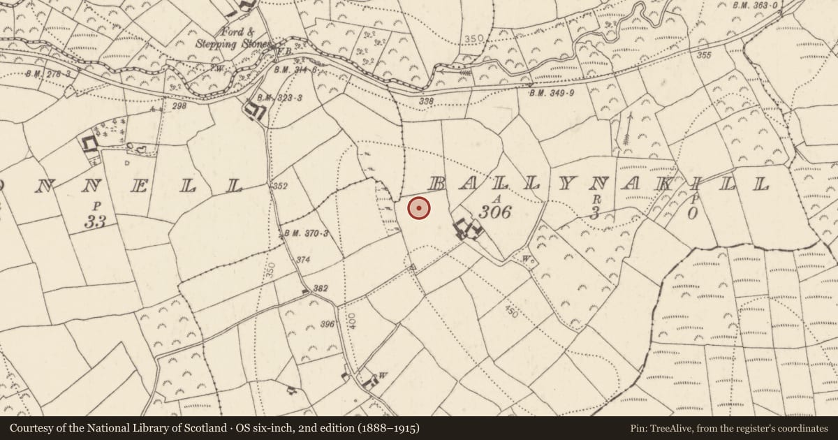 Ordnance Survey six-inch map, 2nd edition (1888–1915) covering the location of Church, Ballynakill, County Kilkenny, with a pin at the register's coordinates