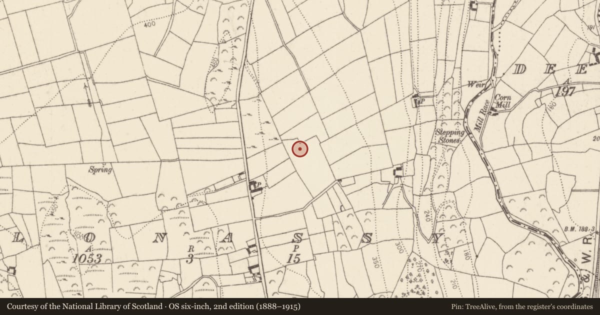 Ordnance Survey six-inch map, 2nd edition (1888–1915) covering the location of Castle - unclassified, Clonassy, County Kilkenny, with a pin at the register's coordinates