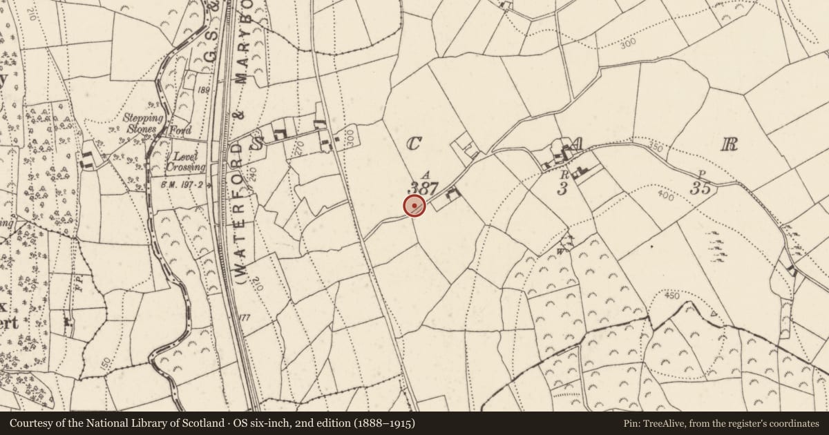 Ordnance Survey six-inch map, 2nd edition (1888–1915) covering the location of Ringfort - rath, Scart, County Kilkenny, with a pin at the register's coordinates