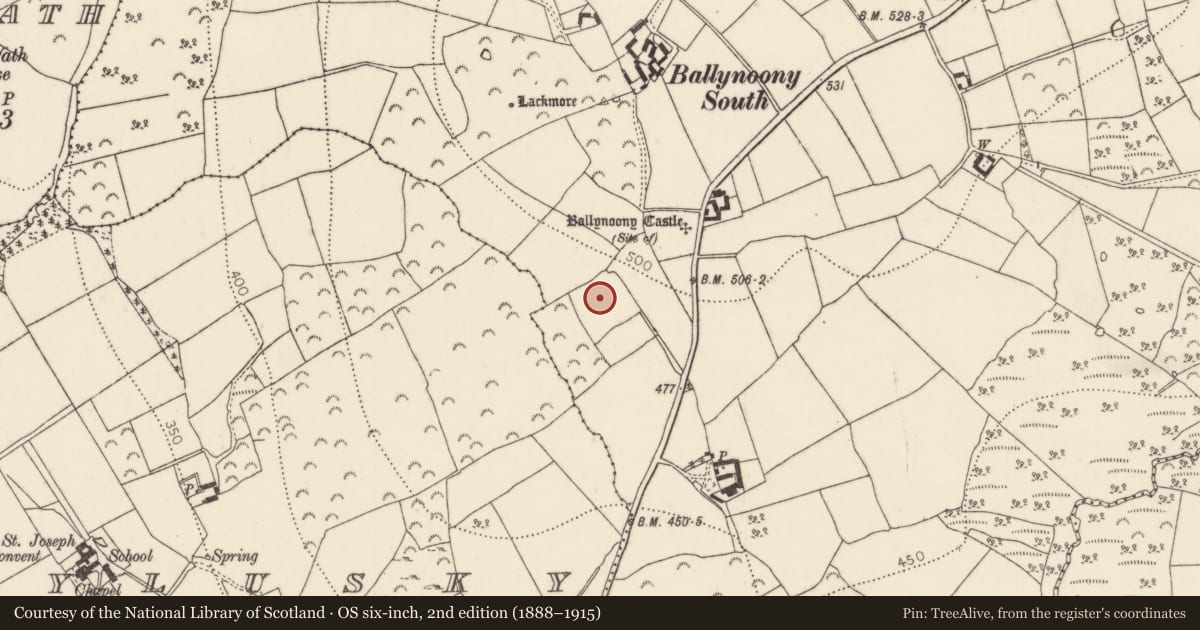 Ordnance Survey six-inch map, 2nd edition (1888–1915) covering the location of Standing stone, Ballynoony West, County Kilkenny, with a pin at the register's coordinates