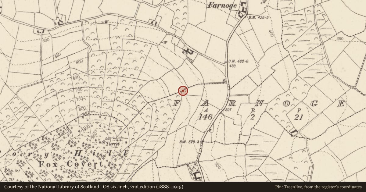 Ordnance Survey six-inch map, 2nd edition (1888–1915) covering the location of Standing stone, Farnoge, County Kilkenny, with a pin at the register's coordinates