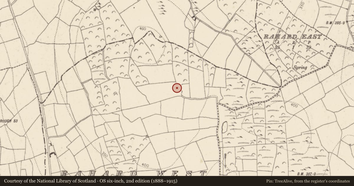 Ordnance Survey six-inch map, 2nd edition (1888–1915) covering the location of Ringfort - rath, Rahard West, County Kilkenny, with a pin at the register's coordinates
