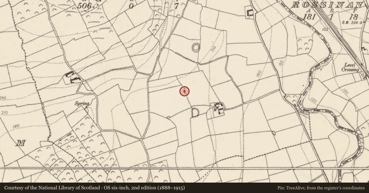 Ordnance Survey six-inch map, 2nd edition (1888–1915) covering the location of Ringfort - rath, Ballydaw, County Kilkenny, with a pin at the register's coordinates