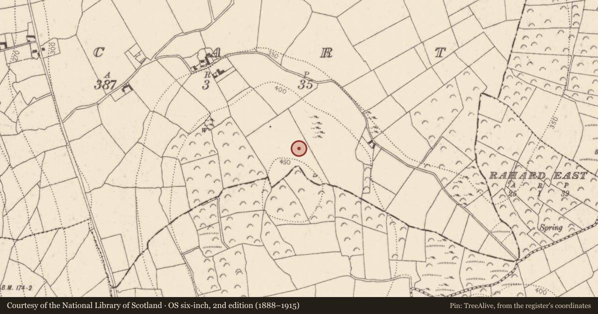Ordnance Survey six-inch map, 2nd edition (1888–1915) covering the location of Standing stone, Scart, County Kilkenny, with a pin at the register's coordinates