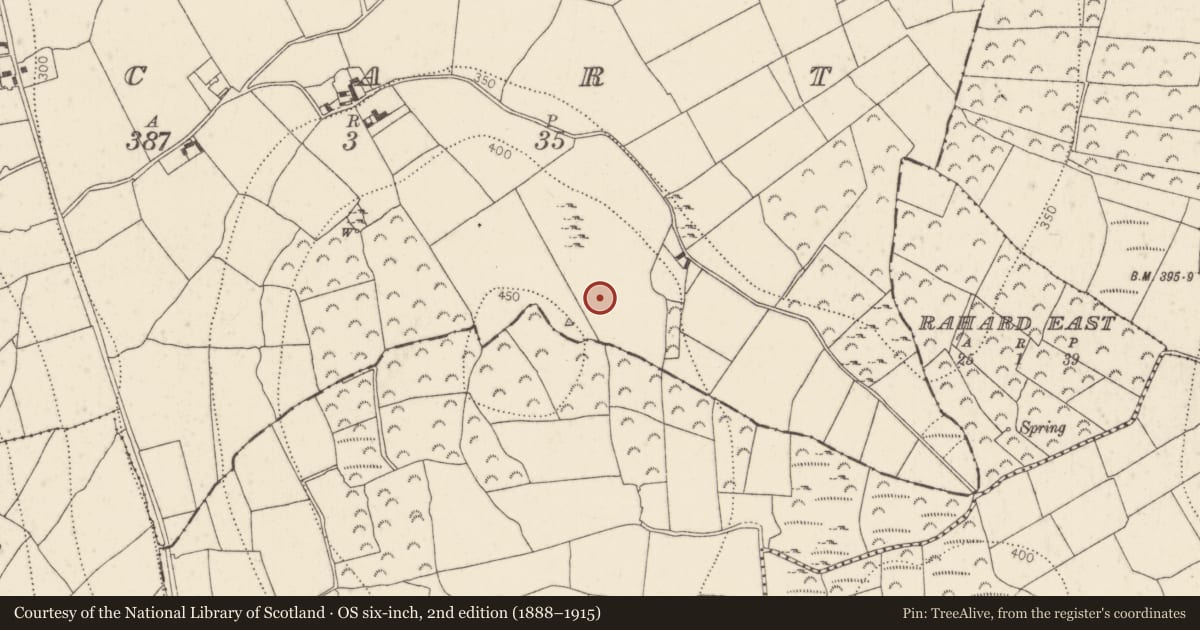 Ordnance Survey six-inch map, 2nd edition (1888–1915) covering the location of Standing stone, Scart, County Kilkenny, with a pin at the register's coordinates