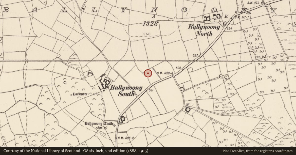Ordnance Survey six-inch map, 2nd edition (1888–1915) covering the location of Standing stone, Ballynoony West, County Kilkenny, with a pin at the register's coordinates