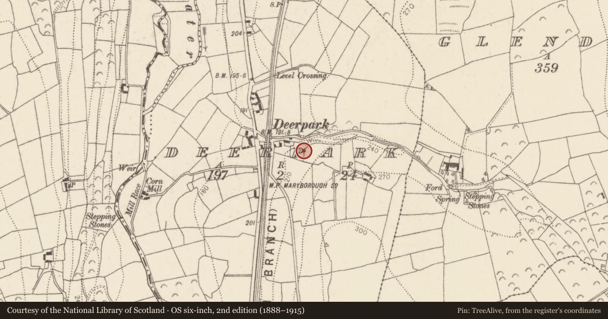 Ordnance Survey six-inch map, 2nd edition (1888–1915) covering the location of Penal Mass station, Deerpark, County Kilkenny, with a pin at the register's coordinates