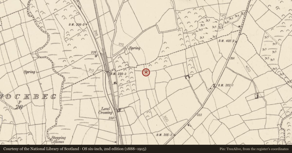 Ordnance Survey six-inch map, 2nd edition (1888–1915) covering the location of Fulacht fia, Garrandarragh, County Kilkenny, with a pin at the register's coordinates