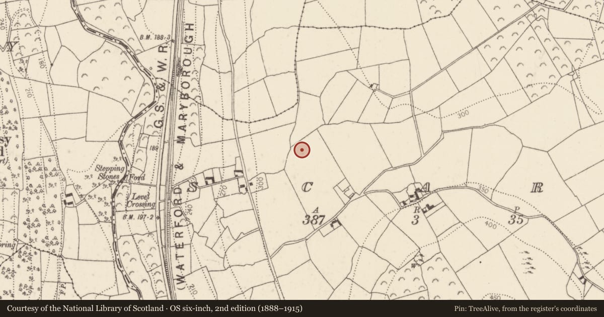 Ordnance Survey six-inch map, 2nd edition (1888–1915) covering the location of Timber circle, Scart, County Kilkenny, with a pin at the register's coordinates