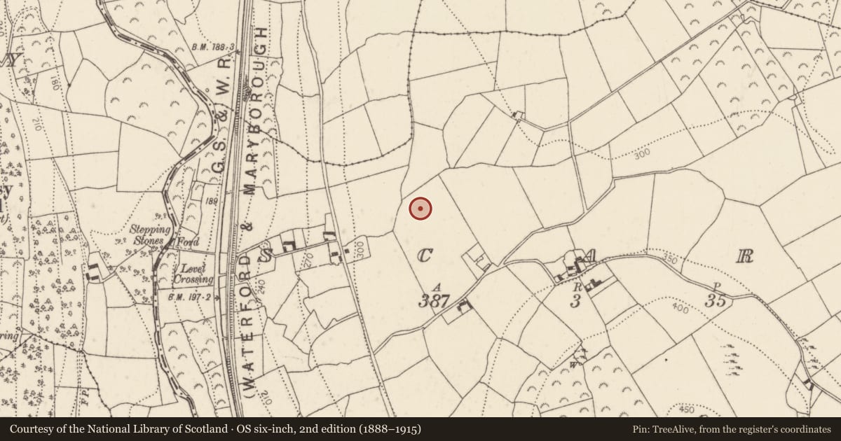 Ordnance Survey six-inch map, 2nd edition (1888–1915) covering the location of Structure, Scart, County Kilkenny, with a pin at the register's coordinates