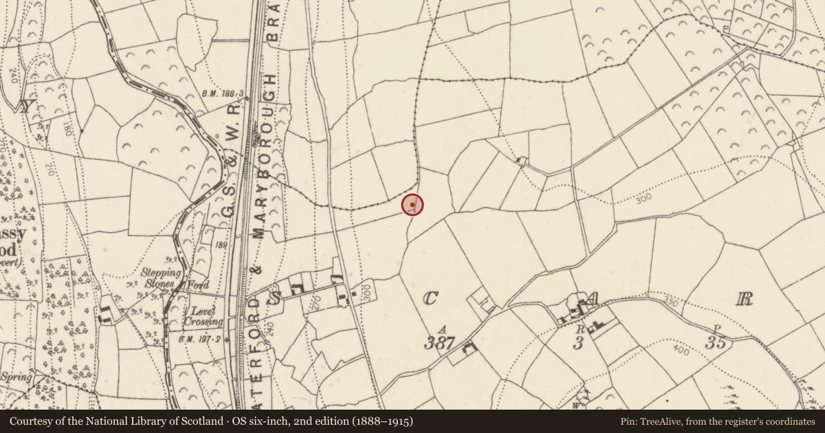 Ordnance Survey six-inch map, 2nd edition (1888–1915) covering the location of Excavation - miscellaneous, Scart, County Kilkenny, with a pin at the register's coordinates