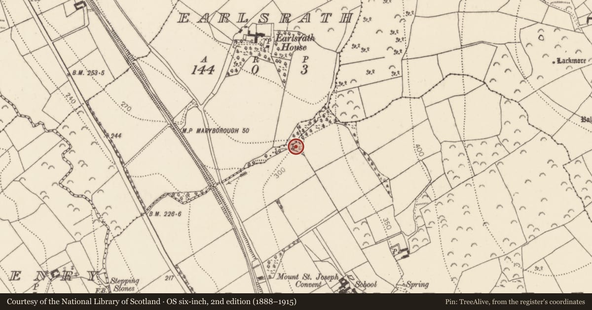 Ordnance Survey six-inch map, 2nd edition (1888–1915) covering the location of Fulacht fia, Ballylusky, County Kilkenny, with a pin at the register's coordinates