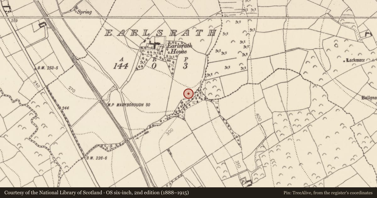 Ordnance Survey six-inch map, 2nd edition (1888–1915) covering the location of Fulacht fia, Earlsrath, County Kilkenny, with a pin at the register's coordinates