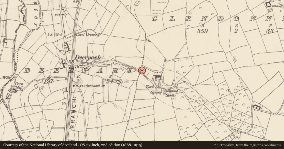 Ordnance Survey six-inch map, 2nd edition (1888–1915) covering the location of Fulacht fia, Glendonnell, County Kilkenny, with a pin at the register's coordinates