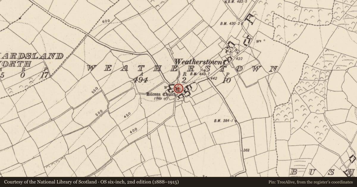 Ordnance Survey six-inch map, 2nd edition (1888–1915) covering the location of Graveyard, Weatherstown, County Kilkenny, with a pin at the register's coordinates