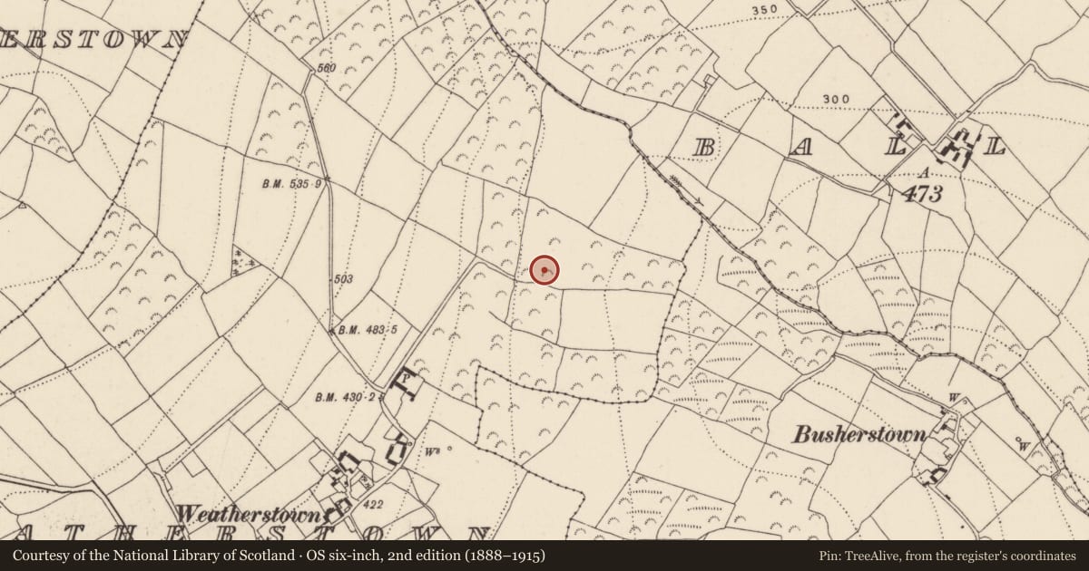 Ordnance Survey six-inch map, 2nd edition (1888–1915) covering the location of Enclosure, Weatherstown, County Kilkenny, with a pin at the register's coordinates