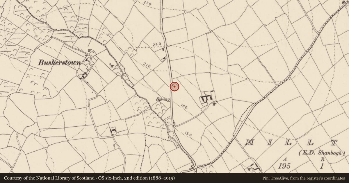Ordnance Survey six-inch map, 2nd edition (1888–1915) covering the location of Ringfort - rath, Ballycrony, County Kilkenny, with a pin at the register's coordinates
