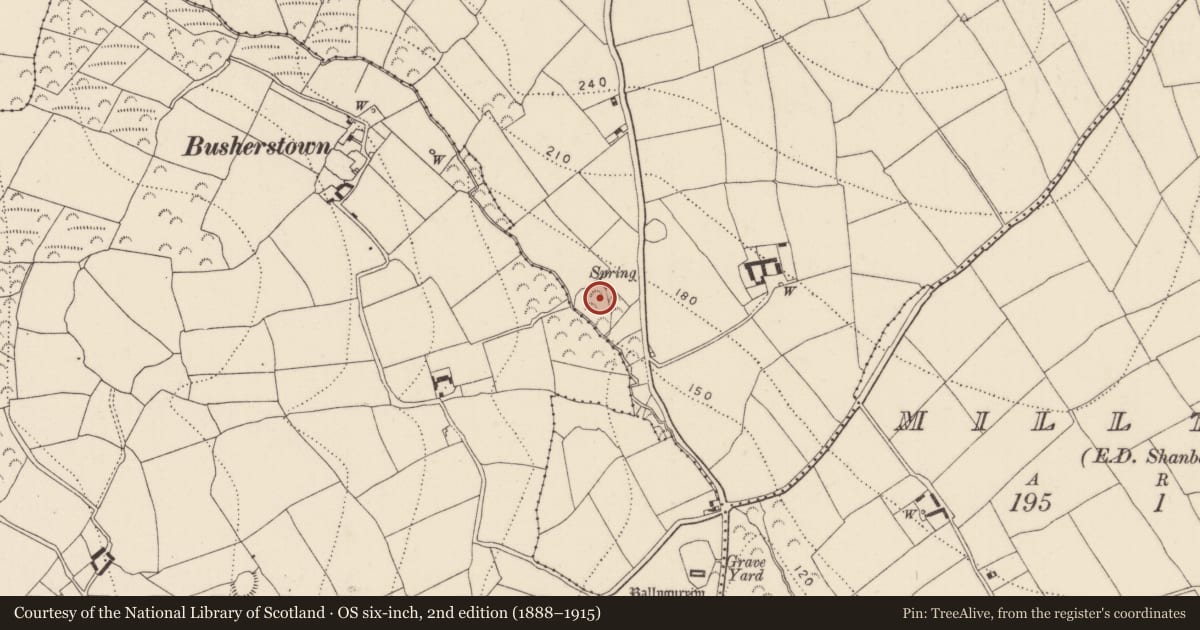 Ordnance Survey six-inch map, 2nd edition (1888–1915) covering the location of Fulacht fia, Ballycrony, County Kilkenny, with a pin at the register's coordinates