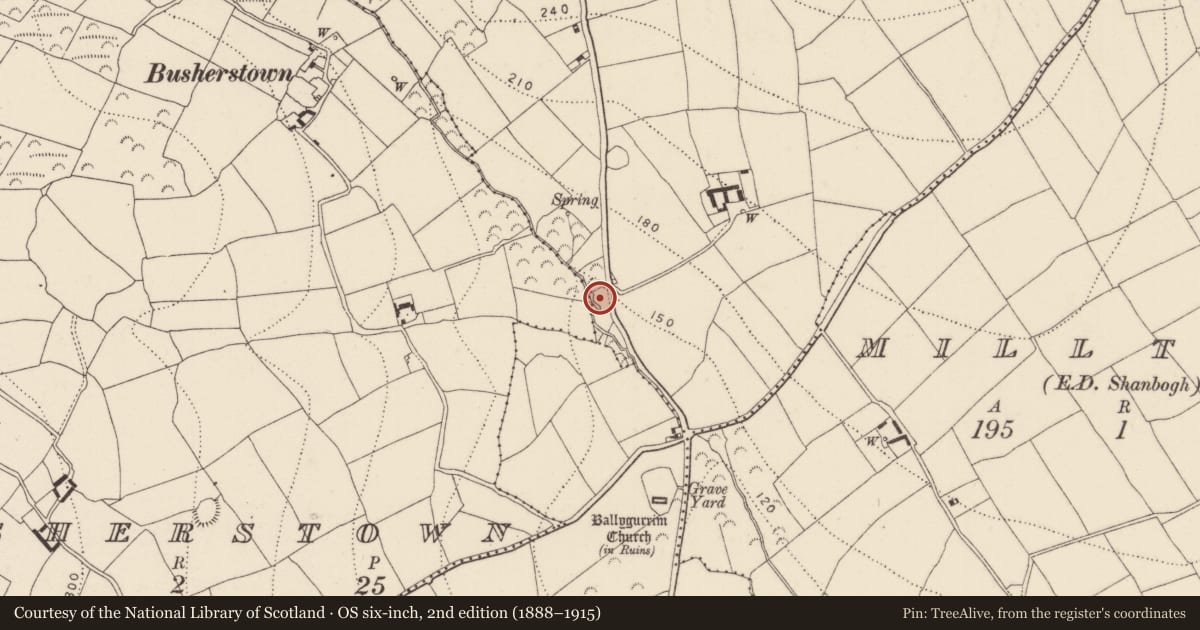 Ordnance Survey six-inch map, 2nd edition (1888–1915) covering the location of Fulacht fia, Ballycrony, County Kilkenny, with a pin at the register's coordinates
