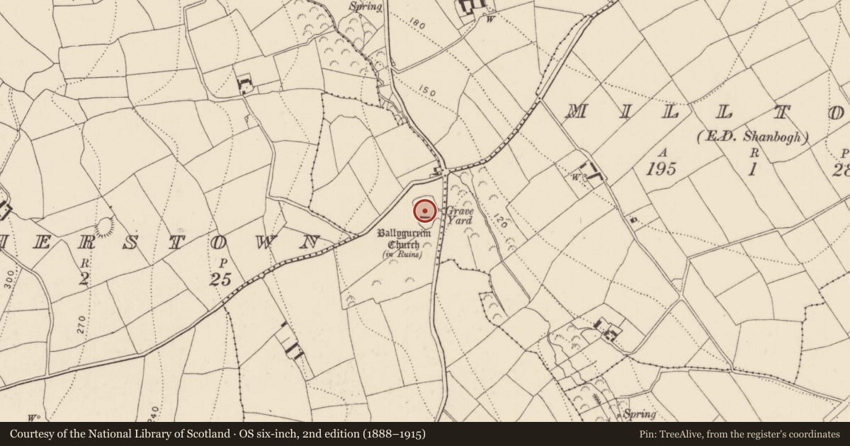 Ordnance Survey six-inch map, 2nd edition (1888–1915) covering the location of Graveyard, Jamestown, County Kilkenny, with a pin at the register's coordinates