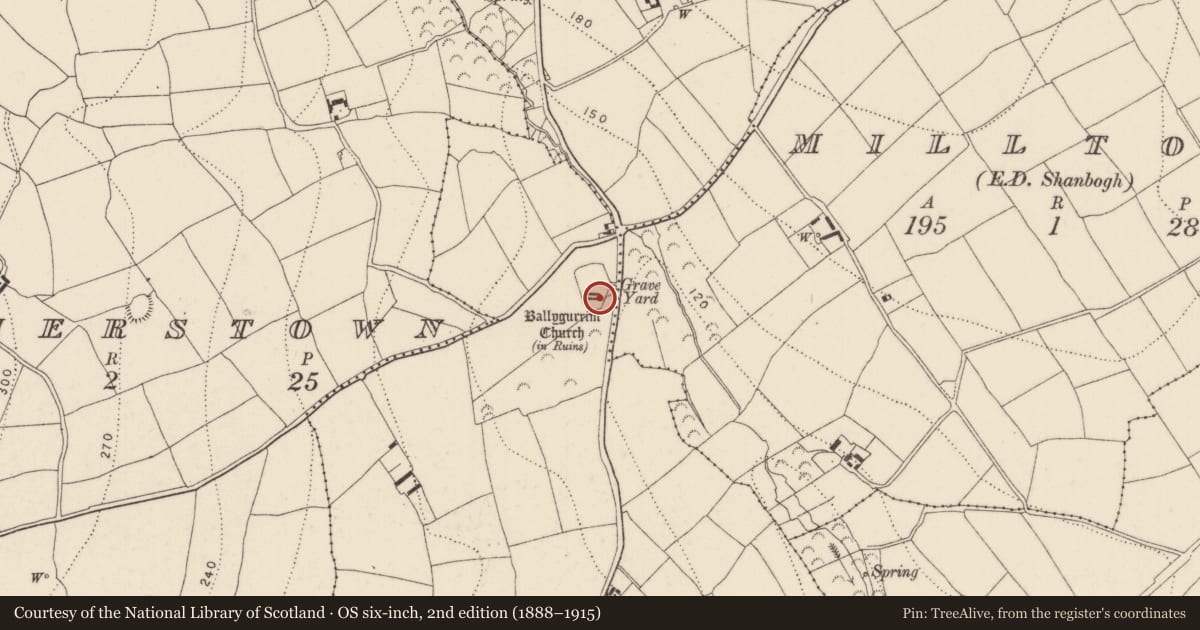 Ordnance Survey six-inch map, 2nd edition (1888–1915) covering the location of Graveslab, Jamestown, County Kilkenny, with a pin at the register's coordinates