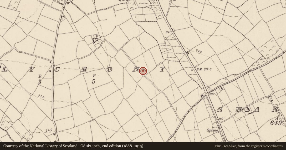 Ordnance Survey six-inch map, 2nd edition (1888–1915) covering the location of Ringfort - rath, Ballycrony, County Kilkenny, with a pin at the register's coordinates