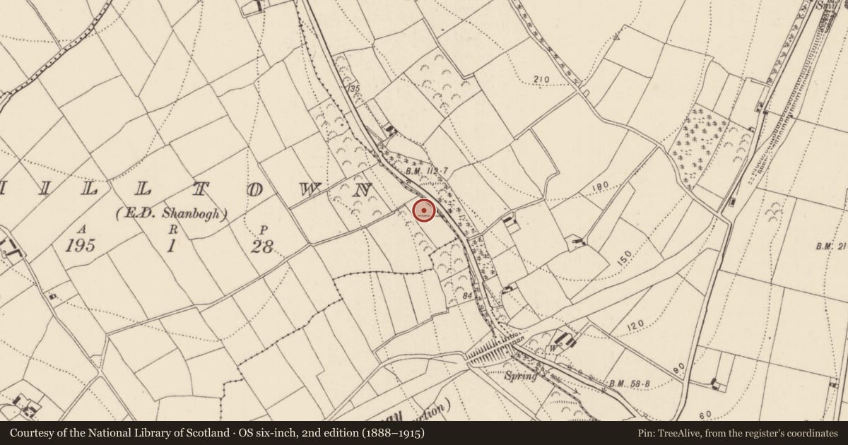 Ordnance Survey six-inch map, 2nd edition (1888–1915) covering the location of Fulacht fia, Milltown, County Kilkenny, with a pin at the register's coordinates