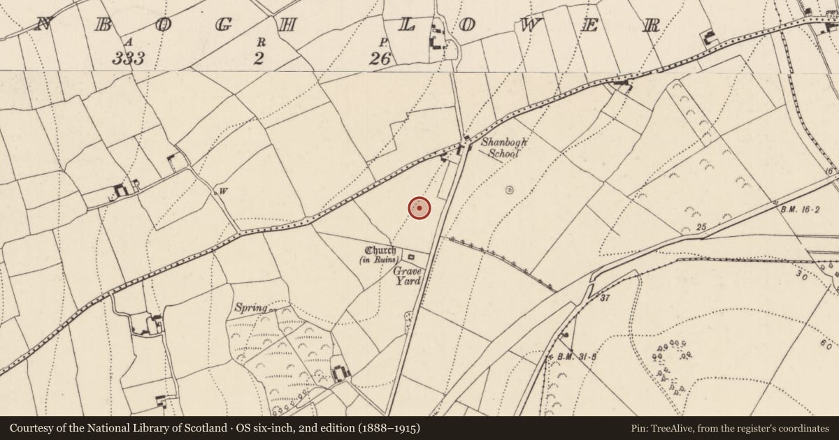Ordnance Survey six-inch map, 2nd edition (1888–1915) covering the location of Earthwork, Shanbogh Upper, County Kilkenny, with a pin at the register's coordinates