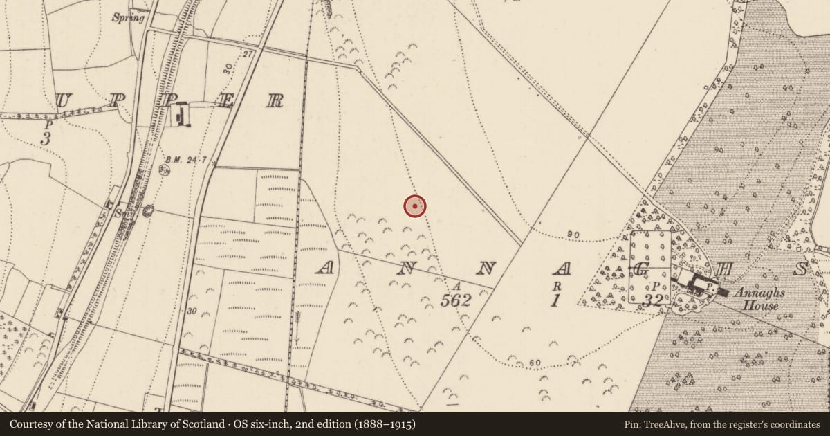 Ordnance Survey six-inch map, 2nd edition (1888–1915) covering the location of Fulacht fia, Annaghs, County Kilkenny, with a pin at the register's coordinates