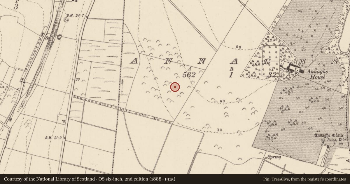 Ordnance Survey six-inch map, 2nd edition (1888–1915) covering the location of Fulacht fia, Annaghs, County Kilkenny, with a pin at the register's coordinates