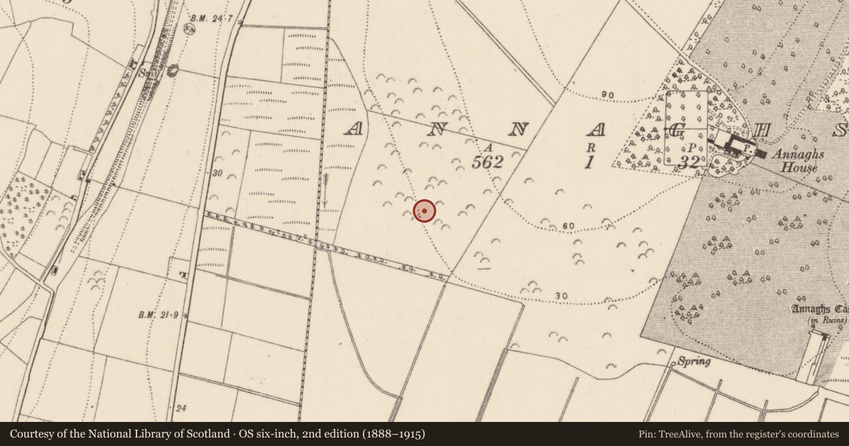 Ordnance Survey six-inch map, 2nd edition (1888–1915) covering the location of Fulacht fia, Annaghs, County Kilkenny, with a pin at the register's coordinates