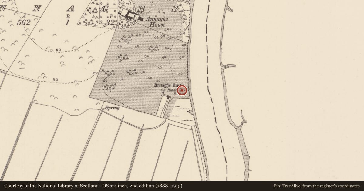 Ordnance Survey six-inch map, 2nd edition (1888–1915) covering the location of Castle - tower house, Annaghs, County Kilkenny, with a pin at the register's coordinates