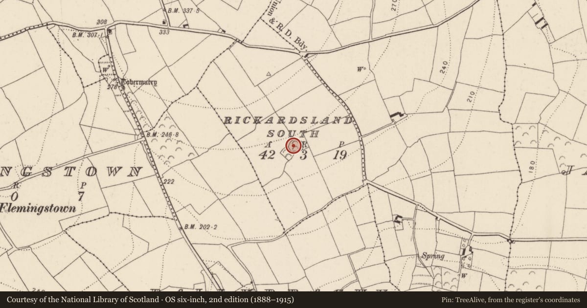 Ordnance Survey six-inch map, 2nd edition (1888–1915) covering the location of Ringfort - rath, Rickardsland South, County Kilkenny, with a pin at the register's coordinates