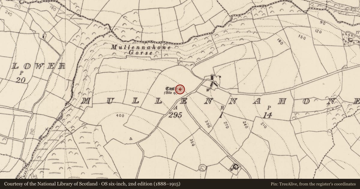 Ordnance Survey six-inch map, 2nd edition (1888–1915) covering the location of Castle - unclassified, Mullennahone, County Kilkenny, with a pin at the register's coordinates