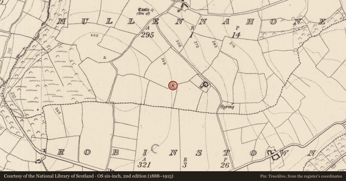 Ordnance Survey six-inch map, 2nd edition (1888–1915) covering the location of Ringfort - rath, Mullennahone, County Kilkenny, with a pin at the register's coordinates