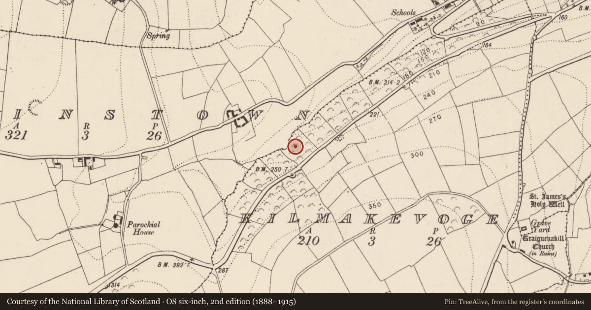 Ordnance Survey six-inch map, 2nd edition (1888–1915) covering the location of Fulacht fia, Kilmakevoge, County Kilkenny, with a pin at the register's coordinates